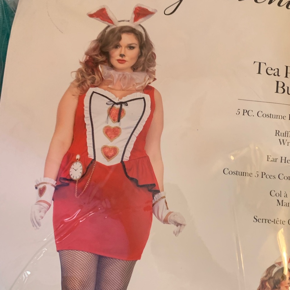 White rabbit from Alice and wonderful